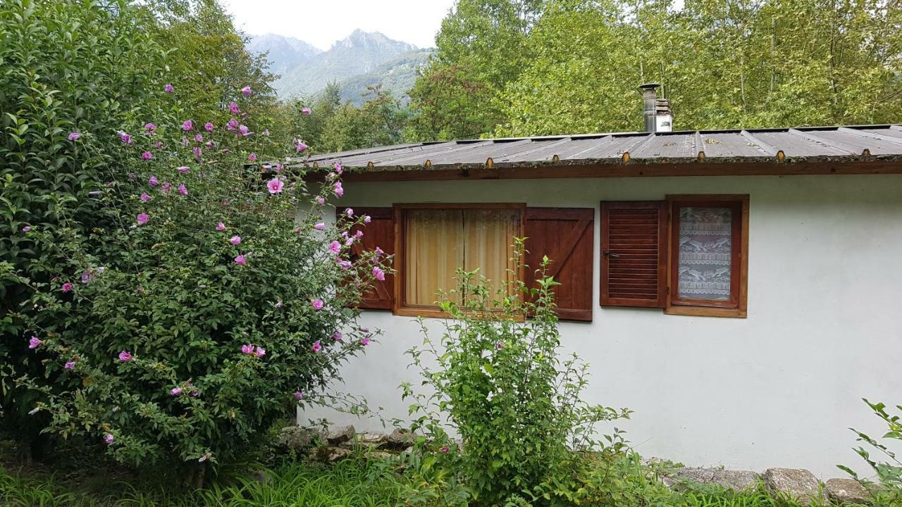 Crotto Caraco Appartamenti Bungalow Chalet 波尔莱扎 外观 照片
