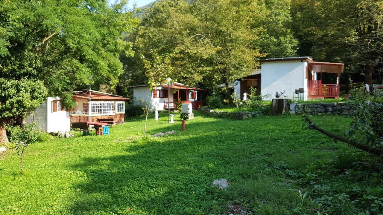 Crotto Caraco Appartamenti Bungalow Chalet 波尔莱扎 外观 照片